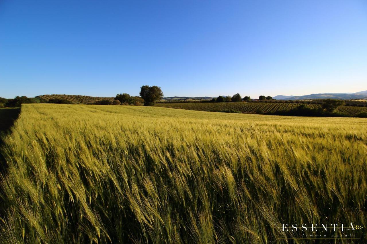 Agriturismo Essentia Dimora Rurale Larino Eksteriør billede