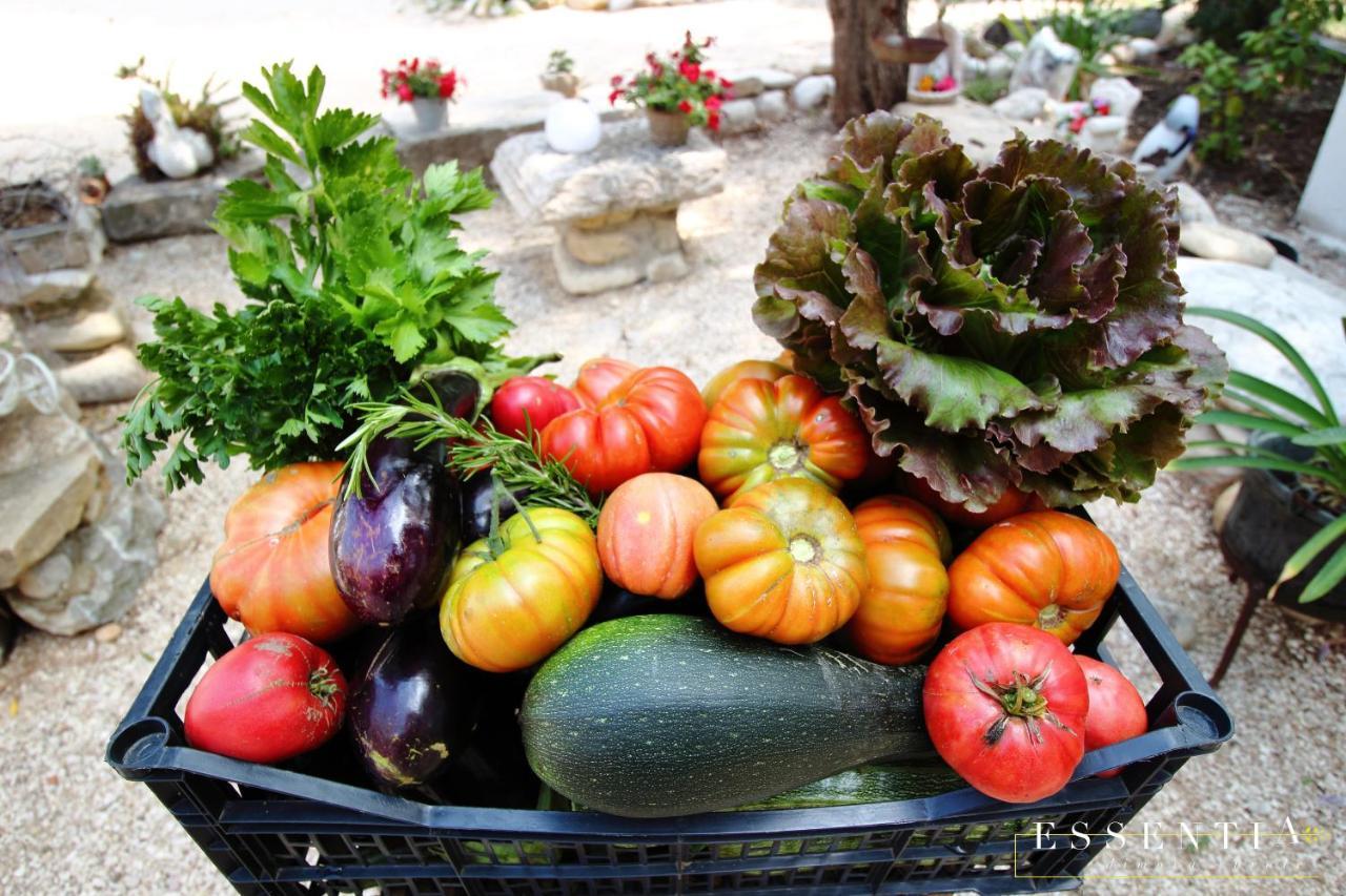 Agriturismo Essentia Dimora Rurale Larino Eksteriør billede