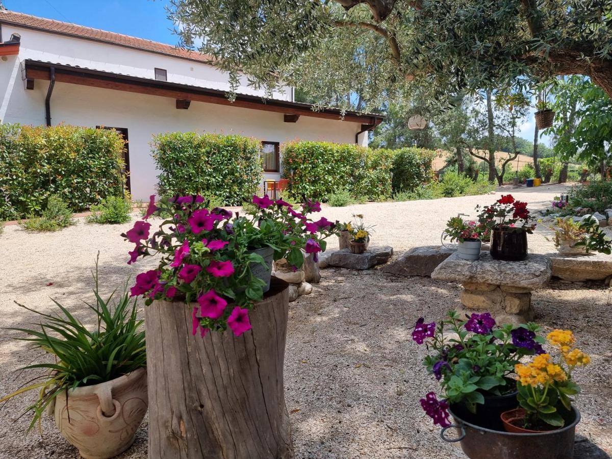 Agriturismo Essentia Dimora Rurale Larino Eksteriør billede