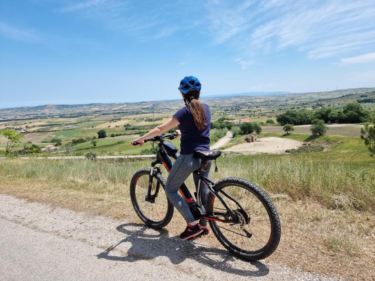 Agriturismo Essentia Dimora Rurale Larino Eksteriør billede