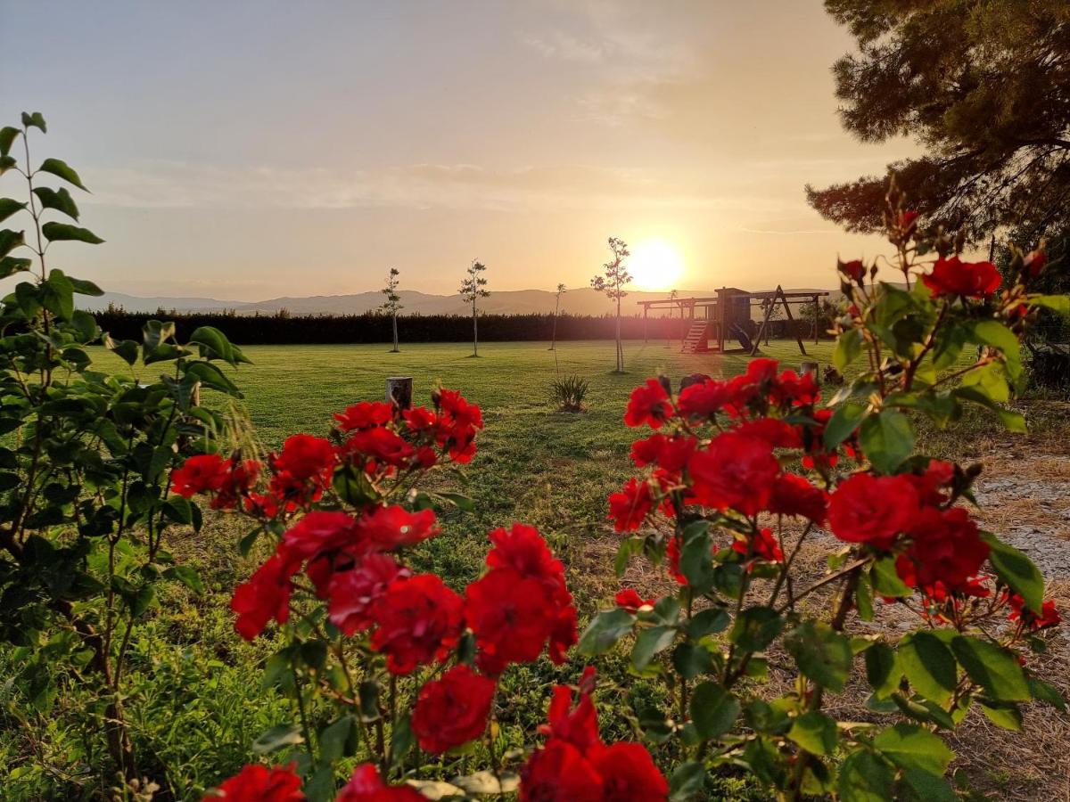Agriturismo Essentia Dimora Rurale Larino Eksteriør billede