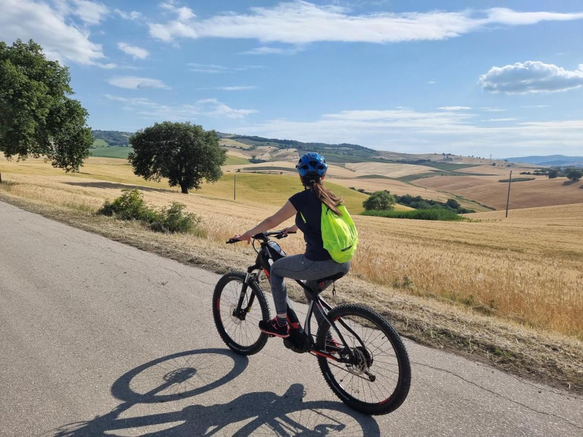 Agriturismo Essentia Dimora Rurale Larino Eksteriør billede