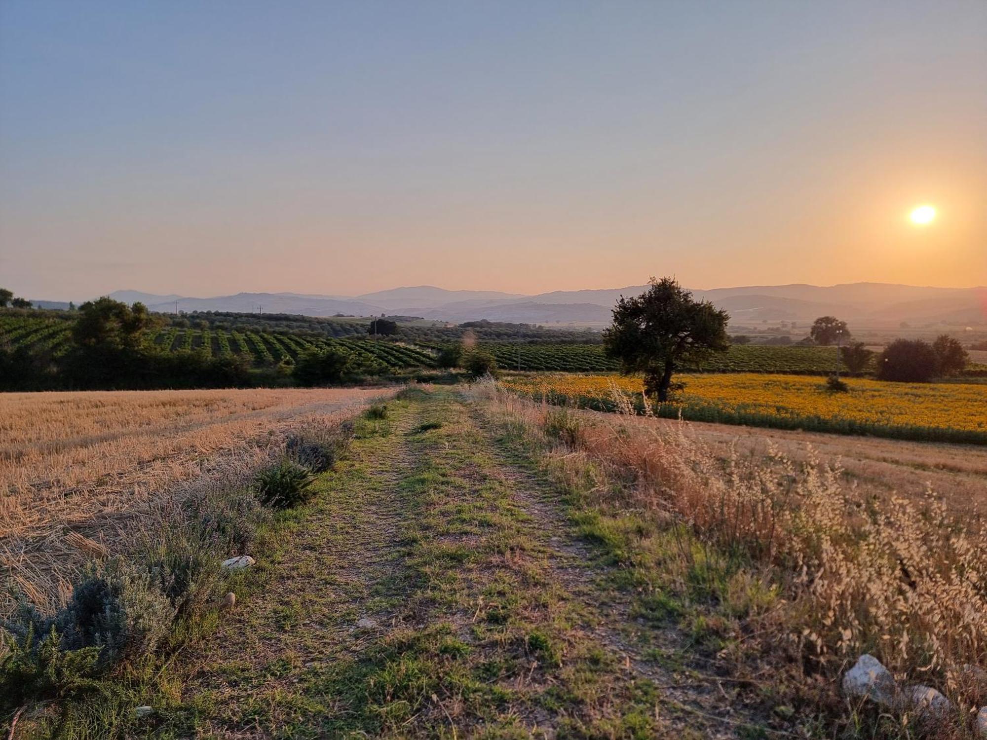 Agriturismo Essentia Dimora Rurale Larino Eksteriør billede