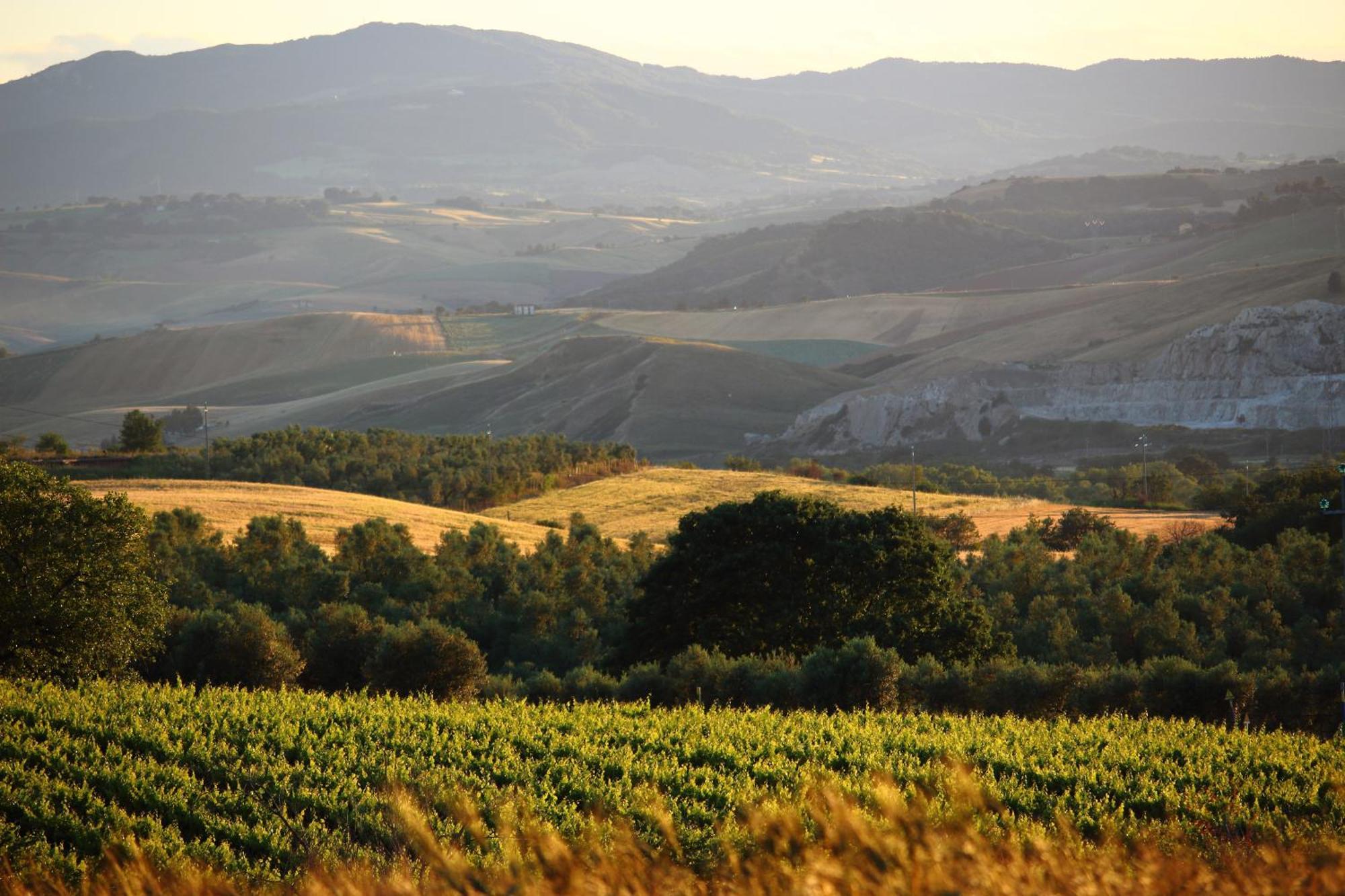 Agriturismo Essentia Dimora Rurale Larino Eksteriør billede