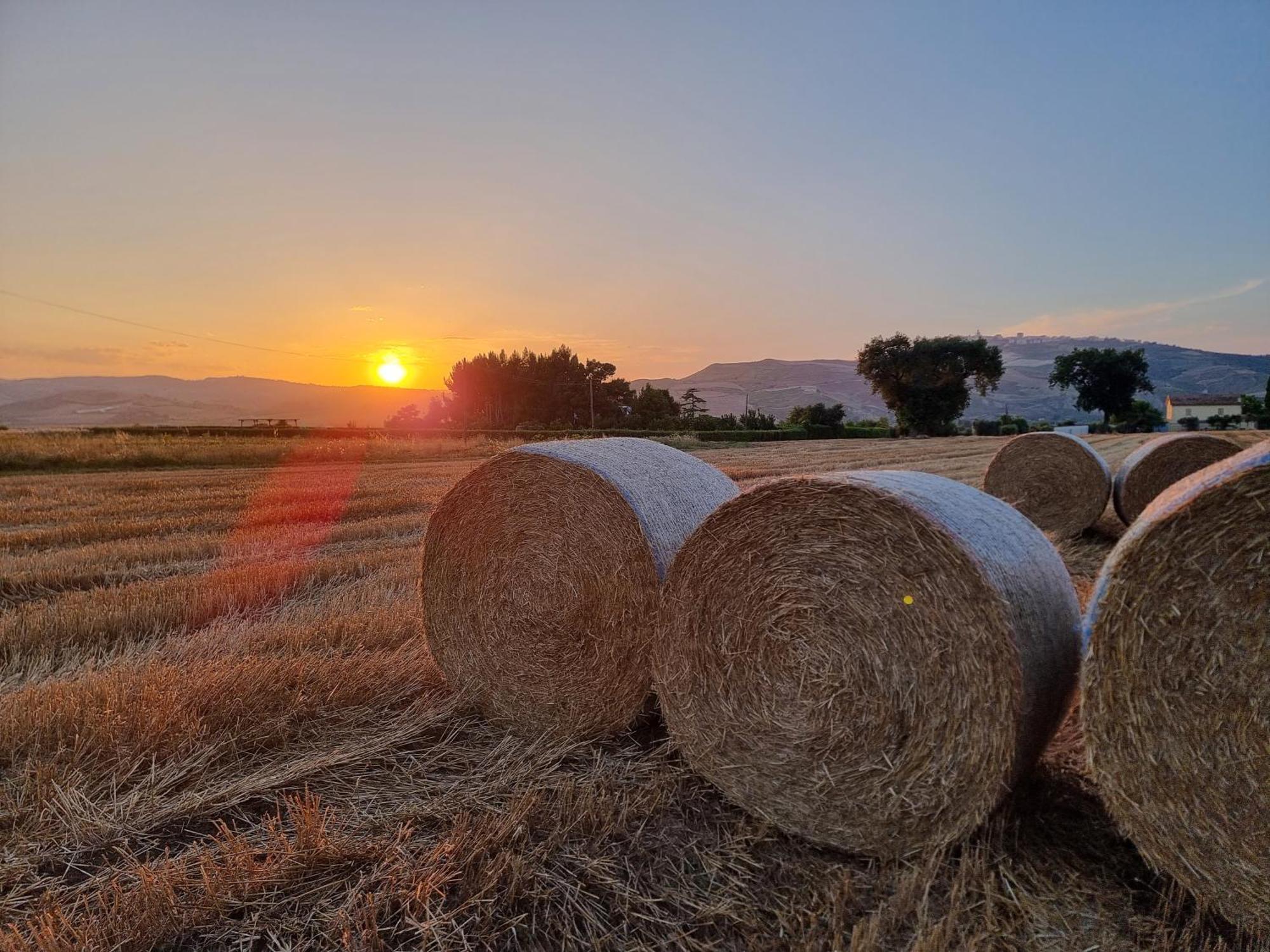 Agriturismo Essentia Dimora Rurale Larino Eksteriør billede