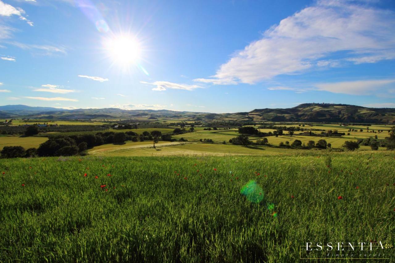Agriturismo Essentia Dimora Rurale Larino Eksteriør billede